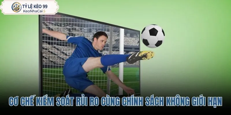 co-che-kiem-soat-rui-ro-cung-chinh-sach-khong-gioi-han-cuoc co-che-kiem-soat-rui-ro-cung-chinh-sach-khong-gioi-han-cuoc