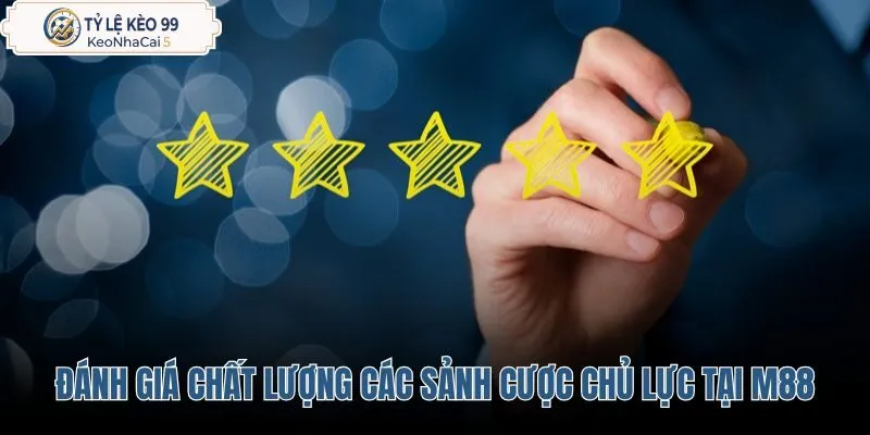 danh-gia-chat-luong-cac-sanh-cuoc-chu-luc-tai-m88