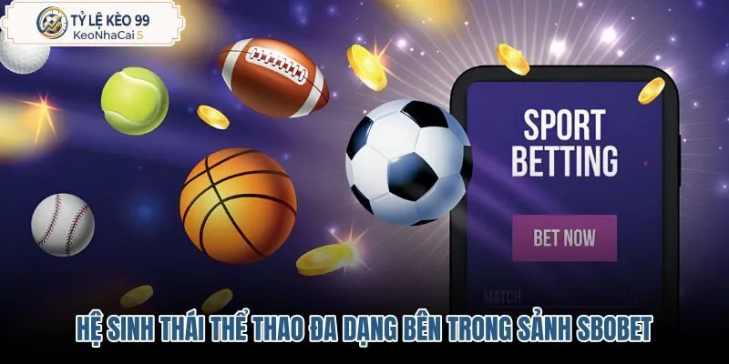 he-sinh-thai-the-thao-da-dang-ben-trong-sanh-sbobet he-sinh-thai-the-thao-da-dang-ben-trong-sanh-sbobet