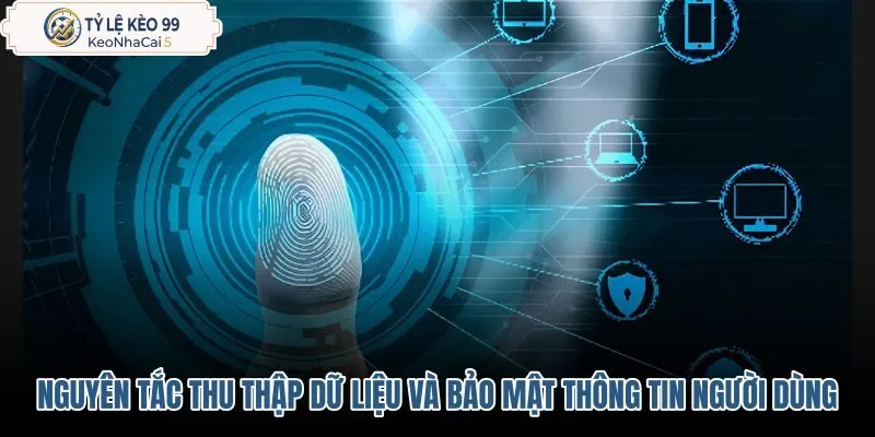 nguyen-tac-thu-thap-du-lieu-va-bao-mat-thong-tin-nguoi-dung nguyen-tac-thu-thap-du-lieu-va-bao-mat-thong-tin-nguoi-dung